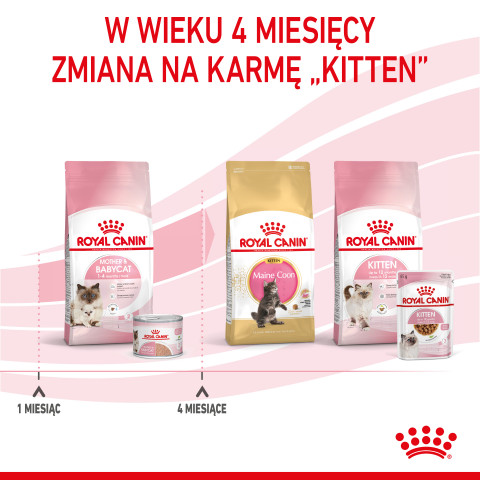 ROYAL CANIN FHN Babycat Instinctive Feline mus - mokra karma dla kociąt - puszka - 195 g - Galeria zdjęcie 8