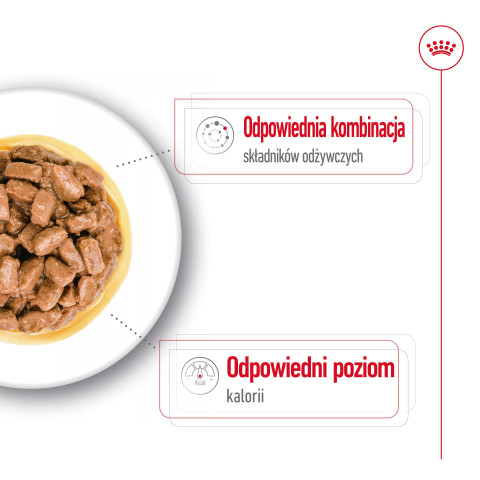 ROYAL CANIN Mini Ageing - mokra karma dla psa - 12x85 g - Galeria zdjęcie 4
