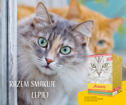 JOSERA Multipack Pate Kurczak kaczka indyk - mokra karma dla kota - 6x85 g - Galeria zdjęcie 7