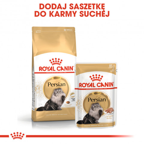 ROYAL CANIN FBN Persian Adult - sucha karma dla kota dorosłego - 10 kg - Galeria zdjęcie 6