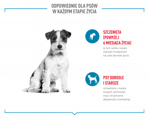 ROYAL CANIN Training Treats - przysmak dla psa - 110g - Galeria zdjęcie 11