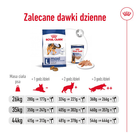ROYAL CANIN SHN Maxi Adult - sucha karma dla psa dorosłego - 15 kg - Galeria zdjęcie 9