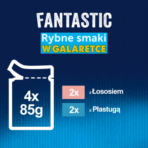 FELIX Fantastic Łosoś w galaretce + Gładzica w galaretce - saszetki dla kota - 4x85g - Galeria zdjęcie 9