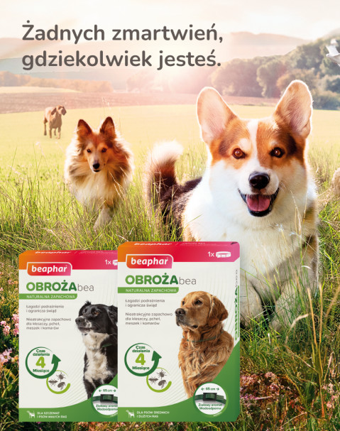 Beaphar obroża ochronna na Kleszcze Pchły dla psa rozm. M/L - Galeria zdjęcie 10