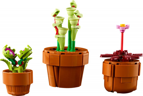 Lego Icons 10329 Małe roślinki - Galeria zdjęcie 6
