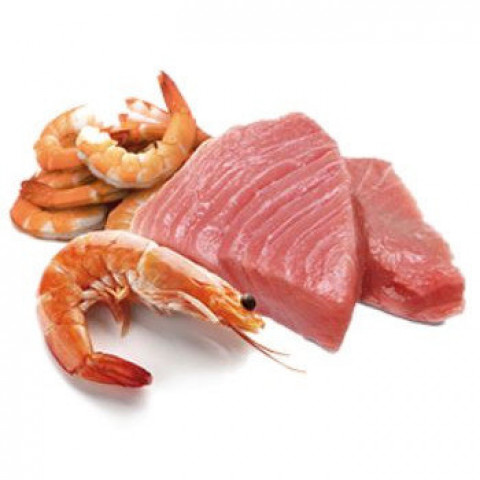 FARMINA N&D Ocean Tuna & Shrimp Adult - mokra karma dla kota - 12x70 g - Galeria zdjęcie 2
