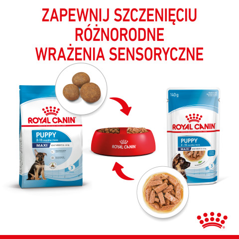 ROYAL CANIN SHN Maxi Puppy w sosie - mokra karma dla szczeniąt - 10x140 g - Galeria zdjęcie 7