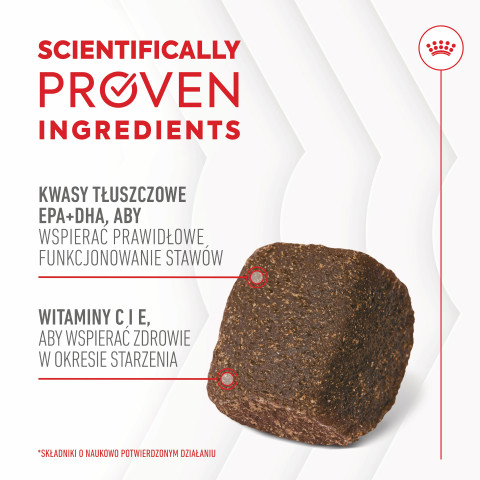 ROYAL CANIN Supplements Dog Joint & Ageing Adult - suplementy dla psa - 240g - Galeria zdjęcie 5