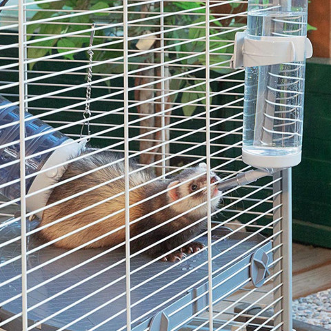 FERPLAST Furet Tower - klatka dla fretek - Galeria zdjęcie 10