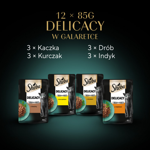 SHEBA Delicacy in Jelly Smaki Drobiowe - mokra karma dla kota - saszetka - 12x85 g - Galeria zdjęcie 9