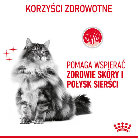 ROYAL CANIN Hair&Skin Care Adult - sucha karma dla kota - 400g - Galeria zdjęcie 12
