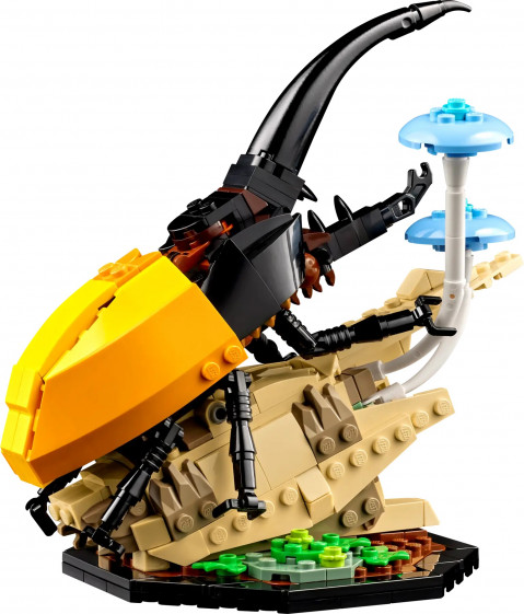 LEGO Ideas 21342 Kolekcja owadów - Galeria zdjęcie 6