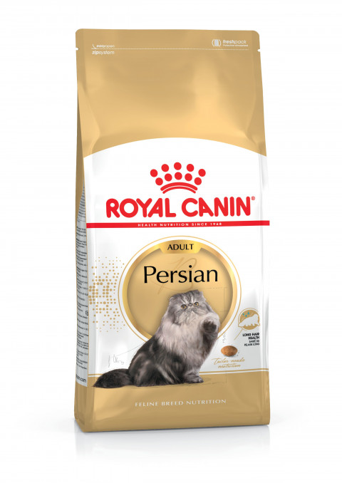 ROYAL CANIN FBN Persian Adult - sucha karma dla kota dorosłego - 10 kg - Galeria zdjęcie 2