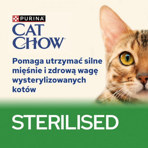 DIAMENTIQ Neutral - żwirek neutralny - 3,8 l + Mix Upominków - Galeria zdjęcie 12