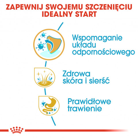 Royal Canin BHN Shih Tzu Puppy - sucha karma dla szczeniąt - 1,5 kg - Galeria zdjęcie 8