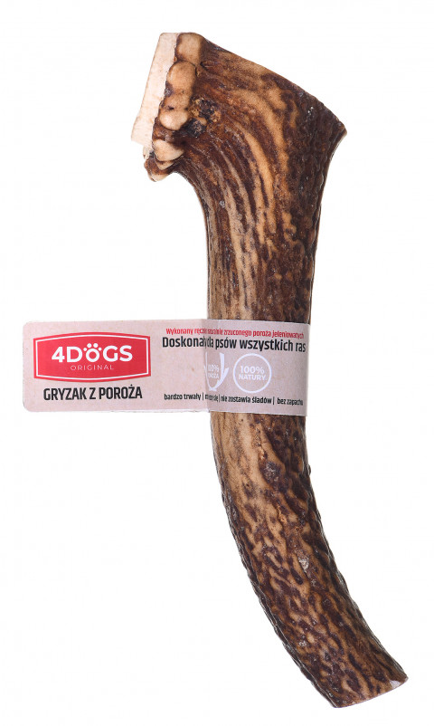 DLZ4DOKSP0012_1.jpg