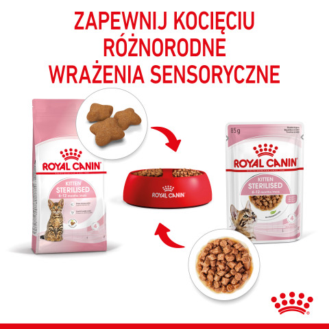 ROYAL CANIN FHN Kitten Sterilised w sosie - mokra karma dla kociąt - 12x85 g - Galeria zdjęcie 5