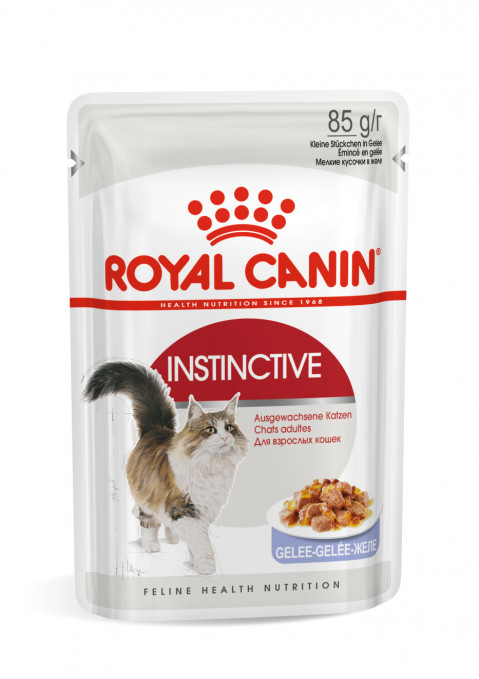 ROYAL CANIN FHN Instinctive w galaretce - mokra karma dla kota dorosłego - 12x85 g - Galeria zdjęcie 1