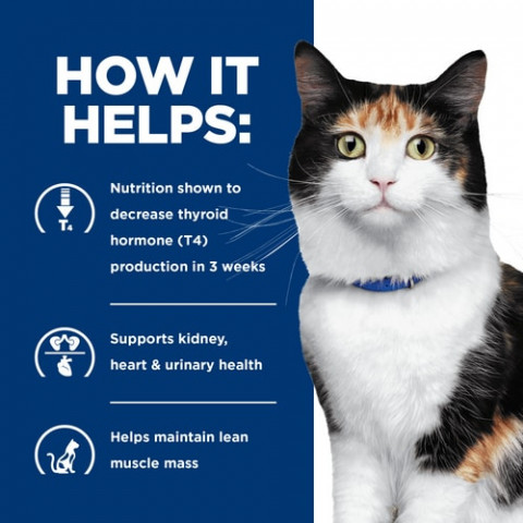 HILL'S Prescription Diet Thyroid Care Feline y/d - karma dla kota z chorą tarczycą - puszka 6x156g - Galeria zdjęcie 5