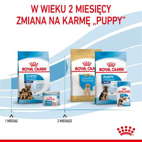 ROYAL CANIN SHN Maxi Starter Mother & Babydog - sucha karma dla psa - 4 kg - Galeria zdjęcie 9