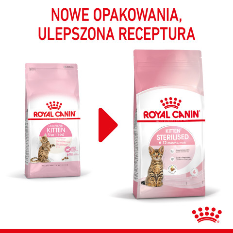 ROYAL CANIN Kitten Sterilised - sucha karma dla kociąt - 3,5 kg - Galeria zdjęcie 3