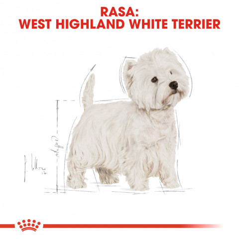 ROYAL CANIN BHN West Highland White Terrier Adult - sucha karma dla psa dorosłego - 3kg - Galeria zdjęcie 3