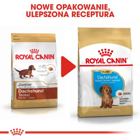 ROYAL CANIN BHN Dachshund Puppy - sucha karma dla szczeniąt - 1,5kg - Galeria zdjęcie 7