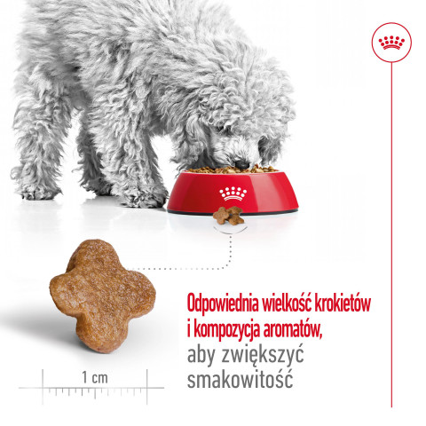 ROYAL CANIN Mini Mature 0,8kg - Galeria zdjęcie 7