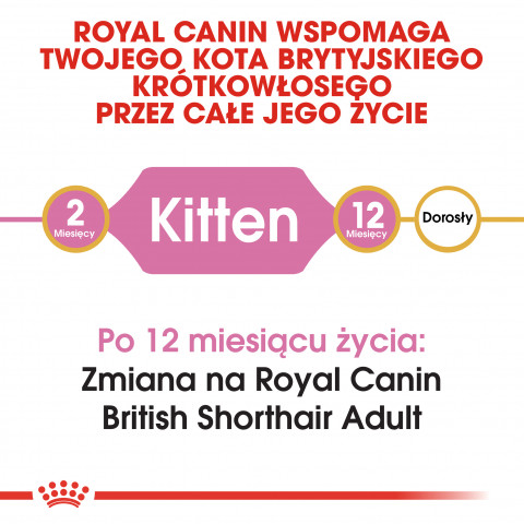 Royal Canin FBN British Shorthair Kitten - sucha karma dla kociąt - 2 kg - Galeria zdjęcie 5