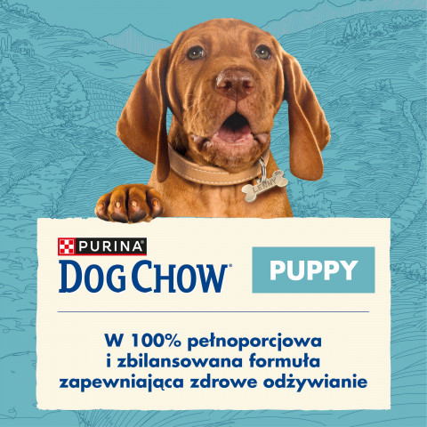 PURINA DOG CHOW Puppy Lamb - sucha karma dla szczeniąt wszystkich ras - 14 kg - Galeria zdjęcie 2