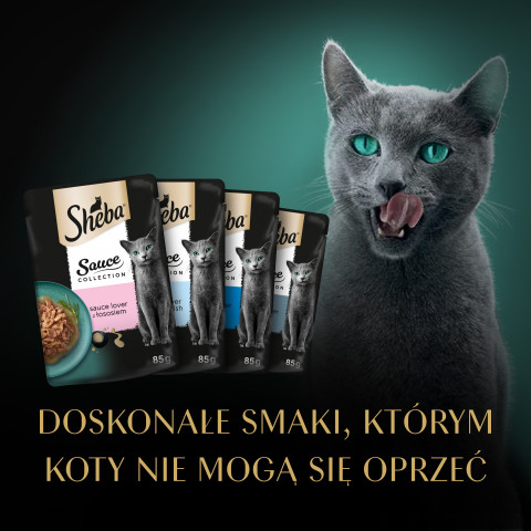 SHEBA Sauce Collection Kolekcja rybnych smaków - mokra karma dla kota - 40x85 g - Galeria zdjęcie 3