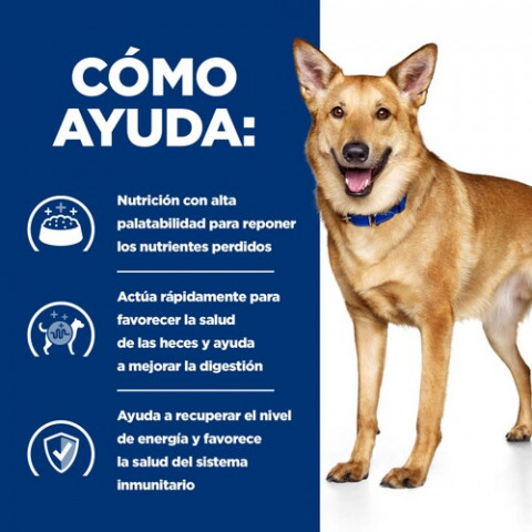 HILL'S Prescription Diet Canine Digestive Care i/­­d - sucha karma dla psa - 12kg + 2x przysmak GRATIS! - Galeria zdjęcie 3