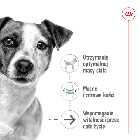 ROYAL CANIN Mini Ageing - mokra karma dla psa - 12x85 g - Galeria zdjęcie 6