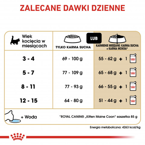 ROYAL CANIN FBN Maine Coon Kitten - sucha karma dla kociąt - 4 kg - Galeria zdjęcie 7
