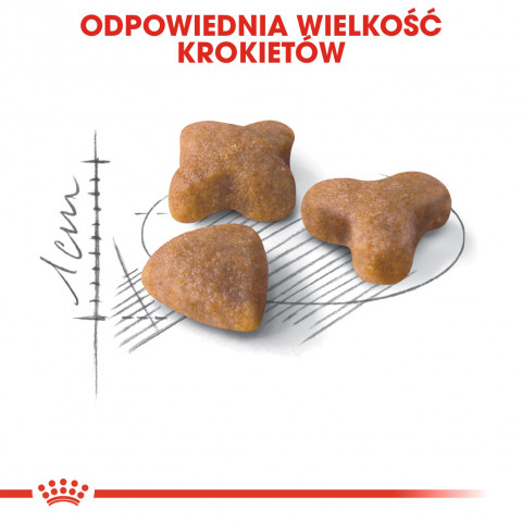 Royal Canin FHN Sensible - sucha karma dla kota dorosłego - 2 kg - Galeria zdjęcie 6