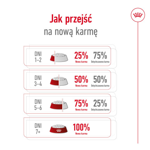 ROYAL CANIN Mini Adult +8 - sucha karma dla psa - 2 kg - Galeria zdjęcie 12