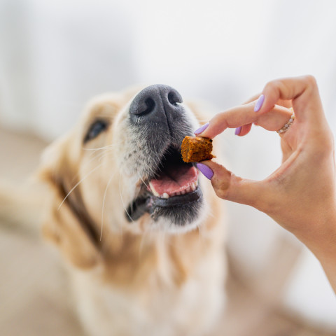 PERRO Bon Bon Wołowina - przysmak dla psa - 80g - Galeria zdjęcie 3