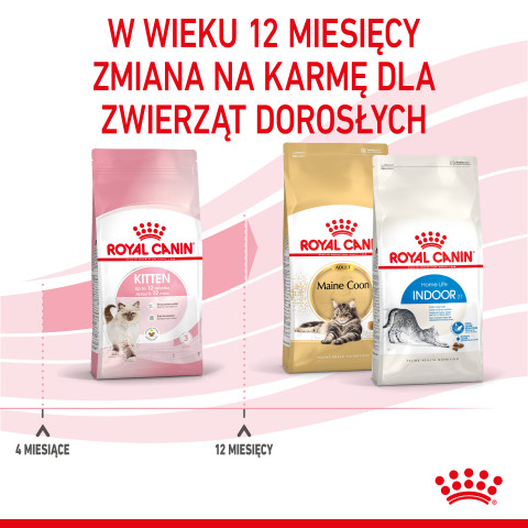 ROYAL CANIN FHN Kitten - sucha karma dla kociąt - 4kg - Galeria zdjęcie 12