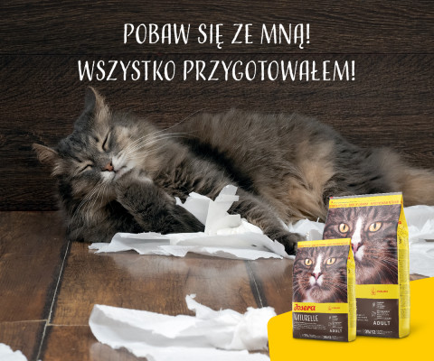 JOSERA Naturelle - sucha karma dla kota - 10kg + 2kg GRATIS! - Galeria zdjęcie 12