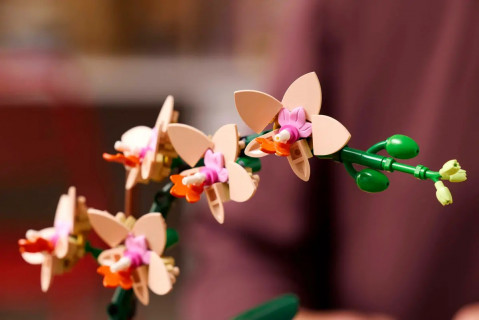 LEGO ICONS 10343 Botanicals - Mała orchidea - Galeria zdjęcie 7
