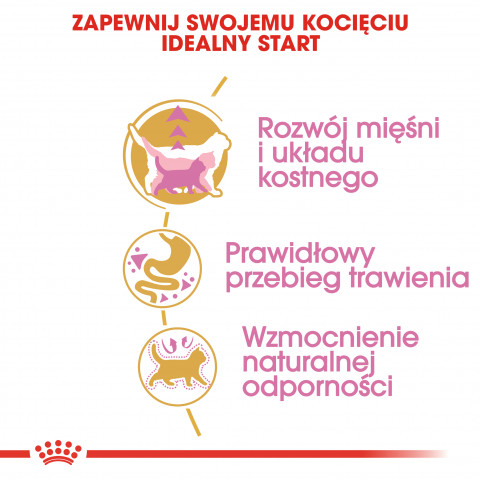 Royal Canin FBN British Shorthair Kitten - sucha karma dla kociąt - 2 kg - Galeria zdjęcie 6