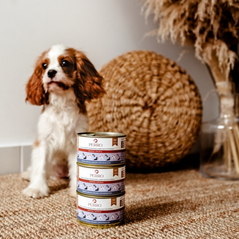 PERRO Junior Indyk i dynia - mokra karma dla psa - 850g - Galeria zdjęcie 2