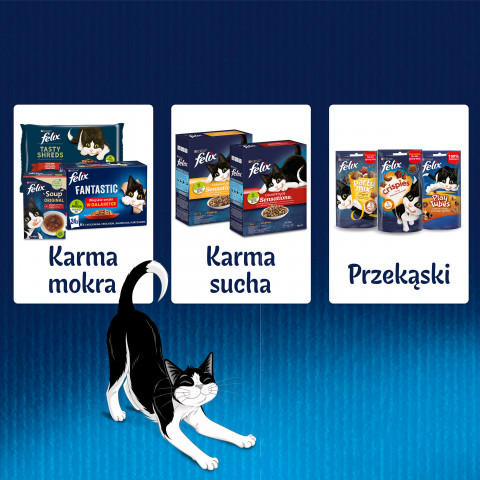 PURINA Felix Fantastic: wiejskie smaki - karma dla kota - 24 x 85g - Galeria zdjęcie 9