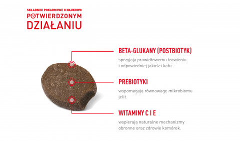ROYAL CANIN Supplements Dog Immunity & Digest Puppy - suplementy dla psa - 100g - Galeria zdjęcie 13