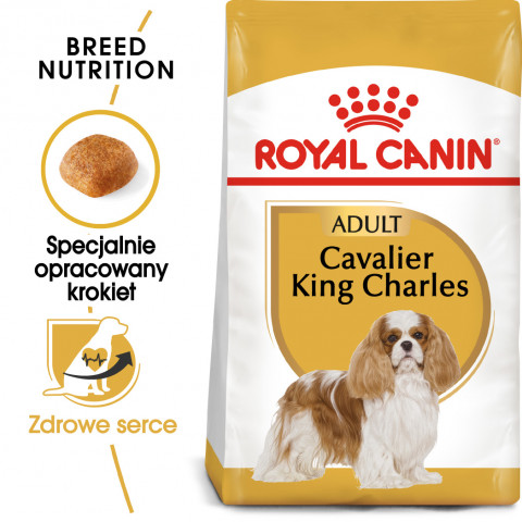 ROYAL CANIN BHN Cavalier King Charles Spaniel Adult - sucha karma dla psa dorosłego - 1,5kg - Galeria zdjęcie 2