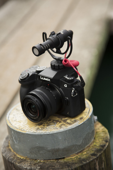 RODE VideoMicro - Mikrofon do kamery - Galeria zdjęcie 5