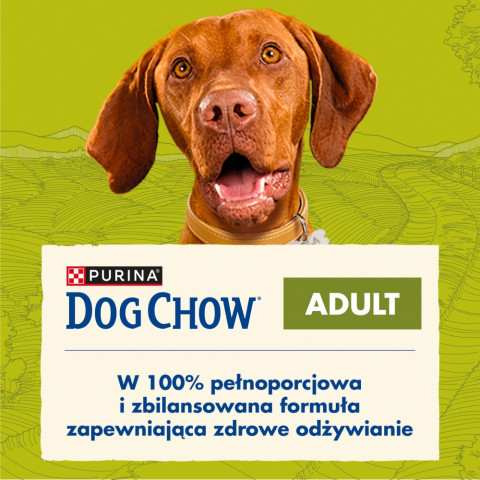PURINA Dog Chow Adult Jagnięcina - sucha karma dla psa - 14 + 2,5kg - Galeria zdjęcie 2