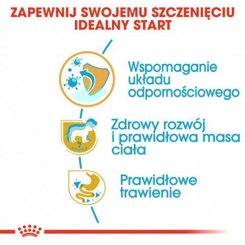 ROYAL CANIN BHN Labrador Retriever Puppy - sucha karma dla szczeniąt - 3 kg - Galeria zdjęcie 8
