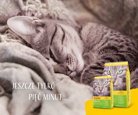 JOSERA SensiCat - sucha karma dla kota - 2 kg - Galeria zdjęcie 4