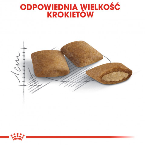 ROYAL CANIN Ageing +12 0,4kg - Galeria zdjęcie 7